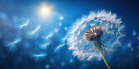 Obraz premium A dandelion seed head with delicate white parachutes releasing into a blue sky, capturing the ephemeral beauty of nature's cycle