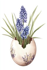 Fototapeta premium Springtime Beauty: Muscari Flower Blossom in Eggshell Watercolor Illustration