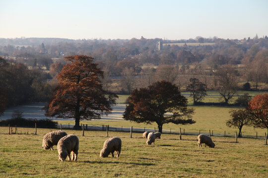 View across the Stour Valley, from East Bergholt towards Dedham, Suffolk, UK  
