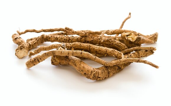 Dried roots of   Marsh mallow or marshmallow, lat. Althea officinalis on white. Traditional herb used  in herbalism against cough and as an ornamental plant.