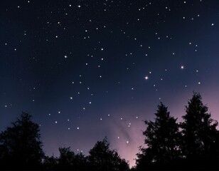 Fototapeta premium night sky with stars