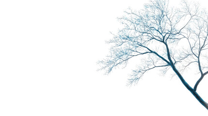 A delicate blue tree branch design on a white background, perfect for creative projects and nature-themed designs.