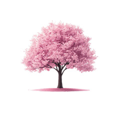 Obraz premium Beautiful pink flowering tree on a white isolate background.