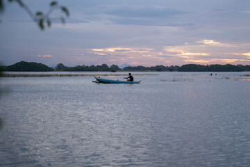 Obraz premium main sport surfing and palms and landscape