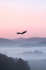 Eagle soars over misty hills at sunrise.