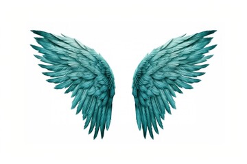 Obraz premium Teal feather angel wings turquoise bird white background.