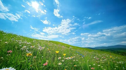 Fototapeta premium Vibrant Green Hills with Wildflowers Beneath a Bright Blue Sky, Lush landscapes showcasing rolling terrain, colorful flora, and expansive azure overhead, evoking tranquility and natural beauty