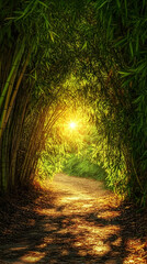 Obraz premium Sunlight shining through a bamboo forest creating a natural archway over a dirt pathway.