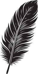 Obraz premium Feather Vector