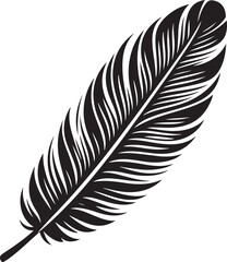 Obraz premium Feather Vector