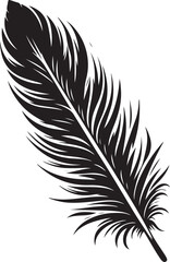Obraz premium Feather Vector
