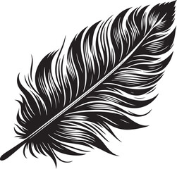 Obraz premium Feather Vector