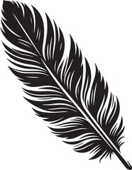 Obraz premium Feather Vector