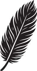 Obraz premium Feather Vector