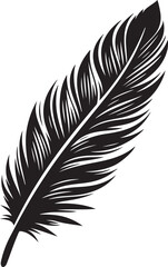 Obraz premium Feather Vector