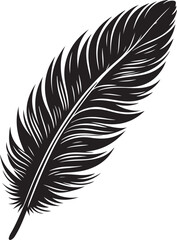 Obraz premium Feather Vector