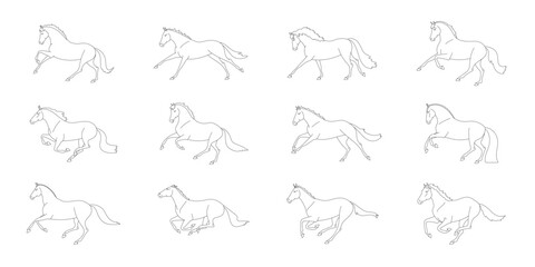 Collection of horse lineart illustrations in various poses, depicting movement and anatomy in a minimalist, black-and-white style.