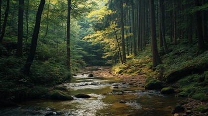 Obraz premium Lush Evergreen Forest with Flowing Streams, a vibrant ecosystem showcasing dense trees, crystal-clear water, diverse plant life, and the tranquility of nature's beauty.