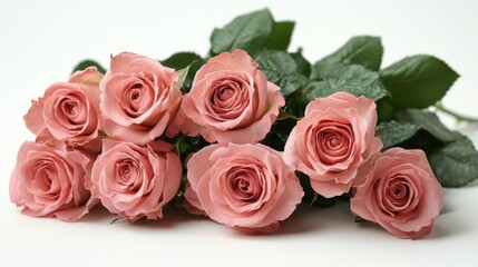 Fototapeta premium A beautiful arrangement of six pink roses with green leaves placed on a white background