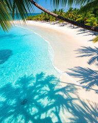  Landscape of a beach in the Caribbean background. The reflection of the palm tree in the turquoise waters enhances the impressive scenery of the beach, sun, and sky. Concept of summer and holiday 