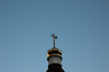 Obraz premium a crow sits on a church cross