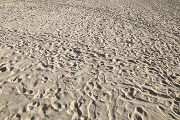 Fototapeta premium Beach sand prints in La Cinta, Italy