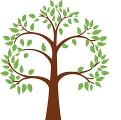 Fototapeta premium green spring tree isolated vector illustration on white background