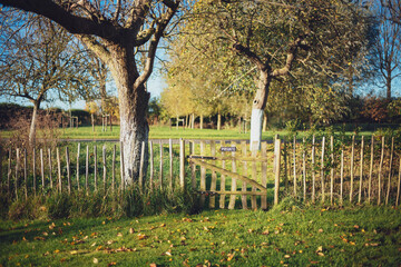 Privatgrundstück mit Obstbäumen auf dem Land