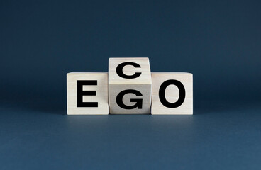 Wooden blocks that spell out Eco or Ego