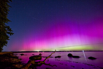 Nordlichter vom 11. August 2024 sichtbar über der Flensburger Innenförde mit starken Strahlen und...