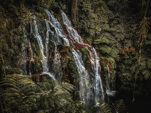 Bali is home to breathtaking waterfalls like Tegenungan, Sekumpul, and Gitgit. Surrounded by lush jungles, these falls offer stunning views, natural pools, and serene settings.