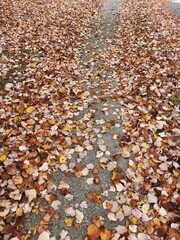 Processed with VSCO with c5 preset