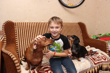 Obraz premium boy 6 years old, playing with red and black dachshund, laughing, sitting on sofa, friends, party, vacation, holiday, Christmas, family