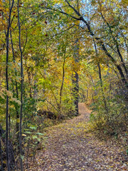 Obraz premium Edmonton, Alberta - October 13, 2024: Pathway views along the North Saskatchewan River in Edmonton 