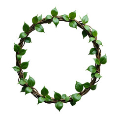 Fototapeta premium Round vine frame with leaves isolated on transparent background, template