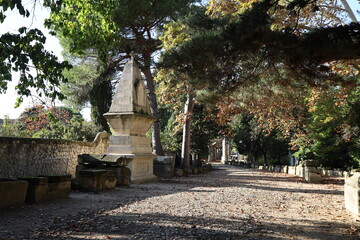 Fototapeta premium Les Alyscamps, nécropole païenne puis chrétienne, ville d'Arles, département des Bouches-du-Rhône, France