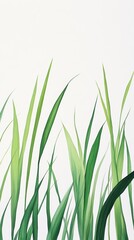 Naklejka premium Green grass blades growing on white background watercolor painting