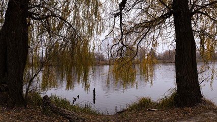 Autumn landscape with bright colors of leaves