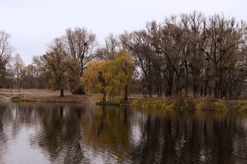 Autumn landscape with bright colors of leaves
