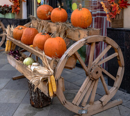 pumpkins in a basket