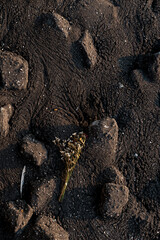 close up rock background