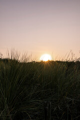 Fototapeta premium Vlissingen the Netherlands pretty travel beach coast grass