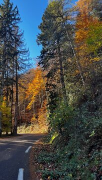 Route de montagne sous les couleurs automnales dans les C&eacute;vennes 