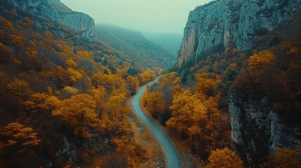 Winding road through a forest valley with colorful autumn foliage.