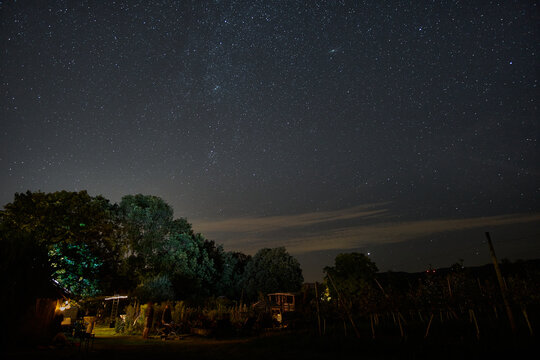 Starry night sky over a garden with trees and a distant building in a quiet countryside setting