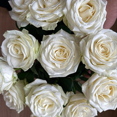 White Roses