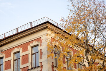 facade of historic building is tree with autumn yellow leaves. brick house of historical architecture in autumn season. urban landscape. tourist destinations, famous place in business part metropolis.