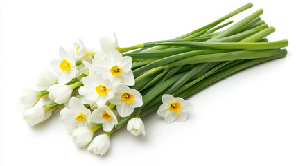 Delicate Narcissus Flowers Arranged Gracefully on a Pristine White Background