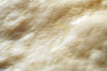 Closeup of Pizza dough coated with olive oil that's been fermented for a long time on an oven dish and puffed up