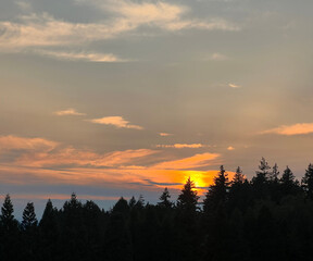 Fototapeta premium orange clouds with pine trees